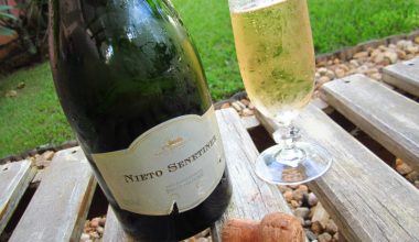 espumante-nieto-senetiner-brut-nature