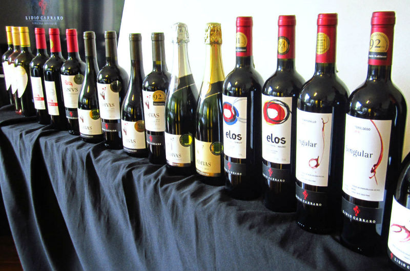 linha-de-vinhos-lidio-carraro