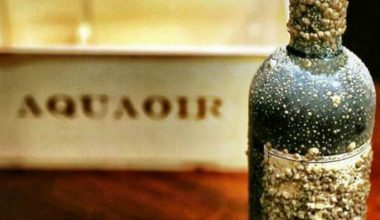 vinho-aquaoir