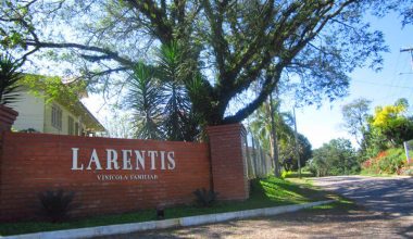 larentis