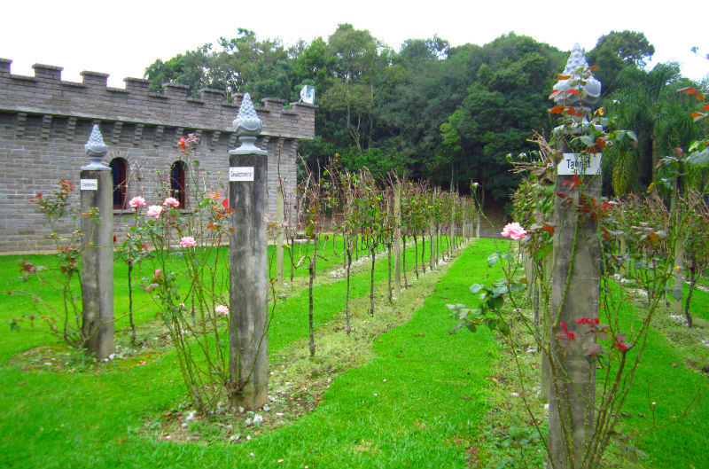 vinhedos-cave-de-pedra