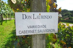vinhedos-don-laurindo-cabernet
