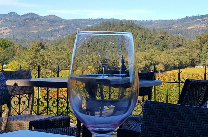 aprender sobre vinhos 02