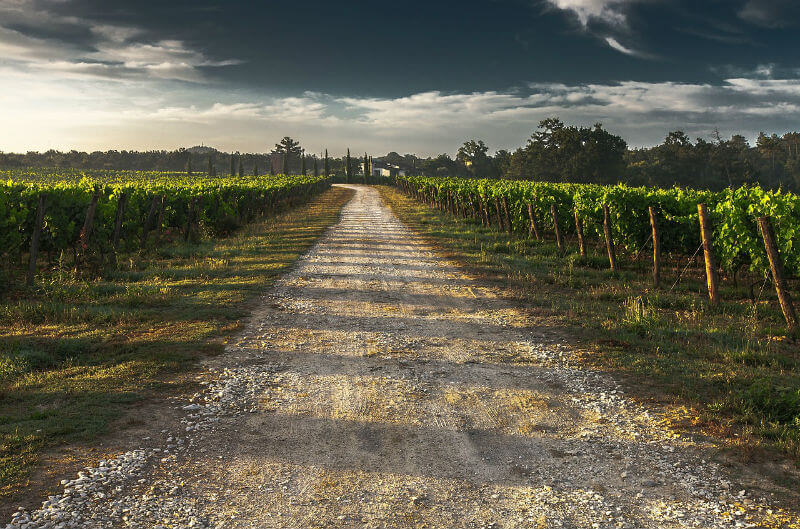 aprender sobre vinhos 03