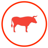 carnes vermelhas