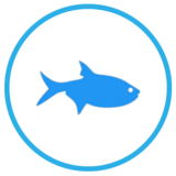 peixes