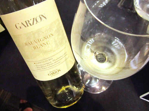 Garzón Sauvignon Blanc