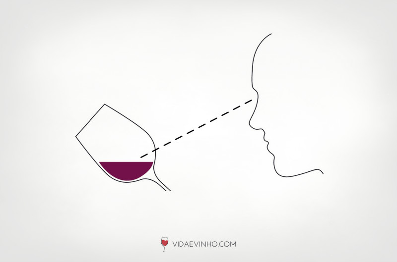 como degustar vinhos analise visual