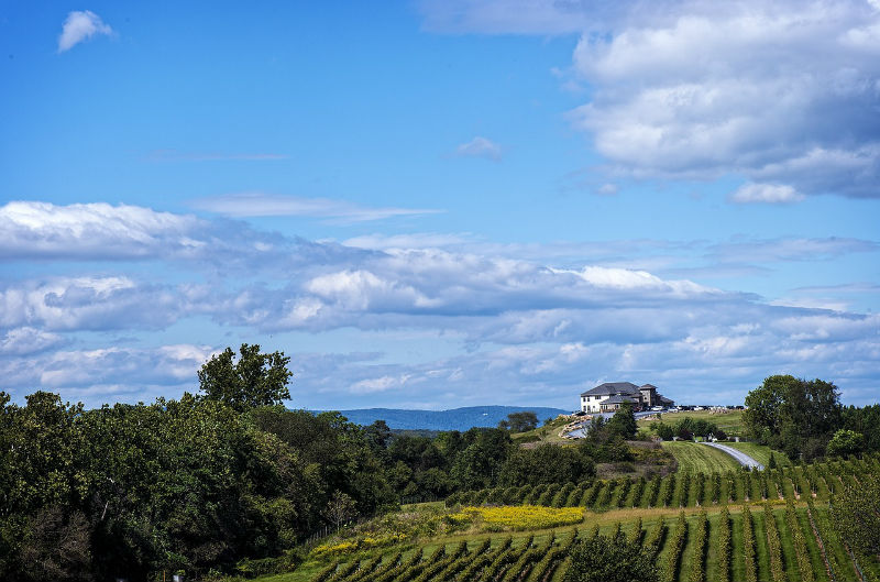 influencia do terroir nos vinhos