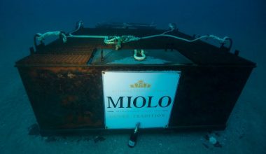 espumante submerso miolo