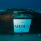 espumante submerso miolo