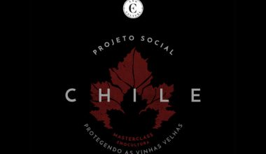 logo projeto social eno cultura