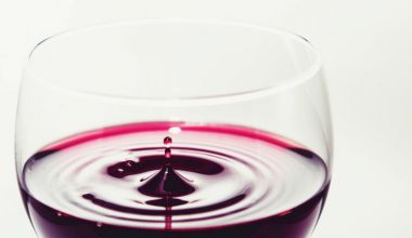 taninos do vinho