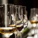 tipos de vinho
