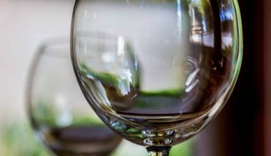 vinhos varietais e vinhos de corte