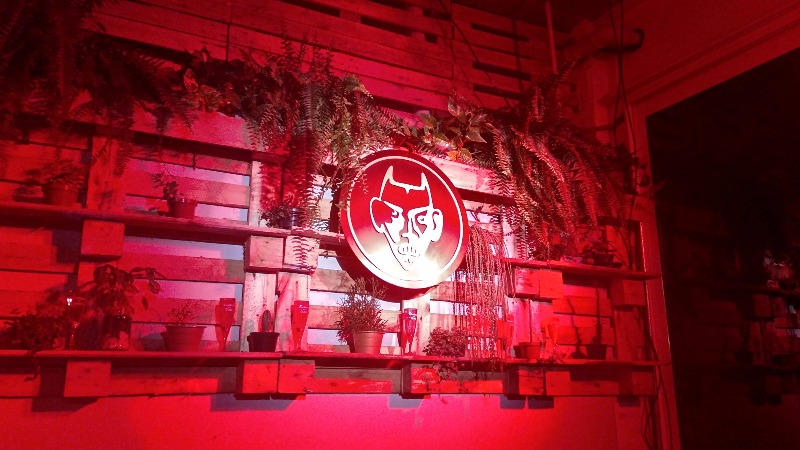 Espaço Tastemade Brasil - Casillero del Diablo Devilish Release