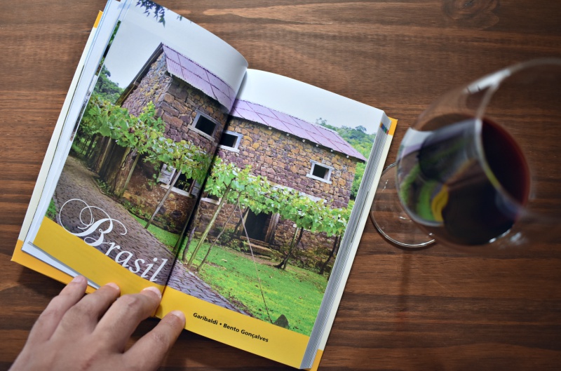 livro viagens vinhos historia brasil