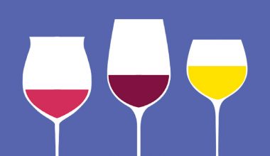 curso-degustacao-de-vinhos-sp