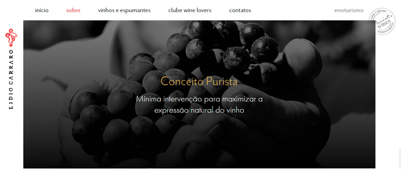 novo-site-vinicola-lidio-carraro-02