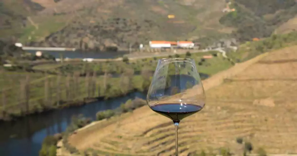 Taça de vinho tinto com vinhedos da região vinícola do Douro ao fundo.