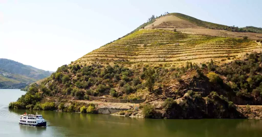 Embarcação de cruzeiro navegando pelas águas do Rio Douro com vinhedos ao fundo.
